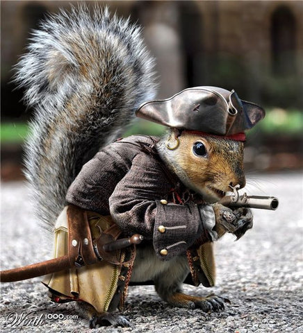 Pirate Squirrel